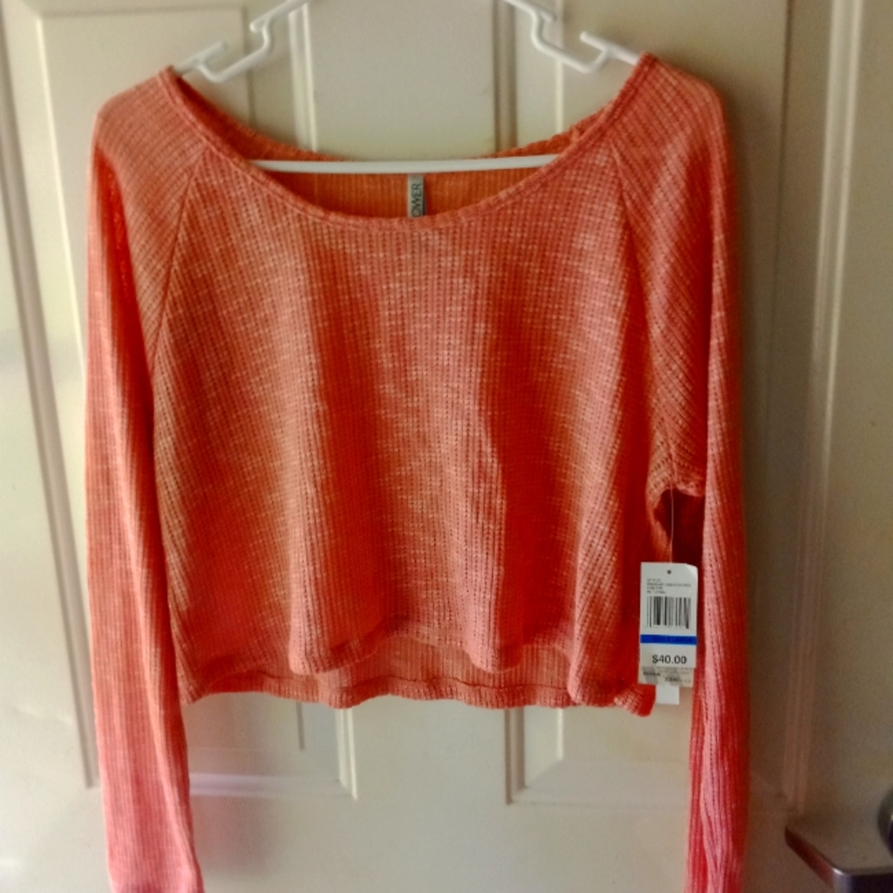 Wallflower Long Sleeve Thin CropTop